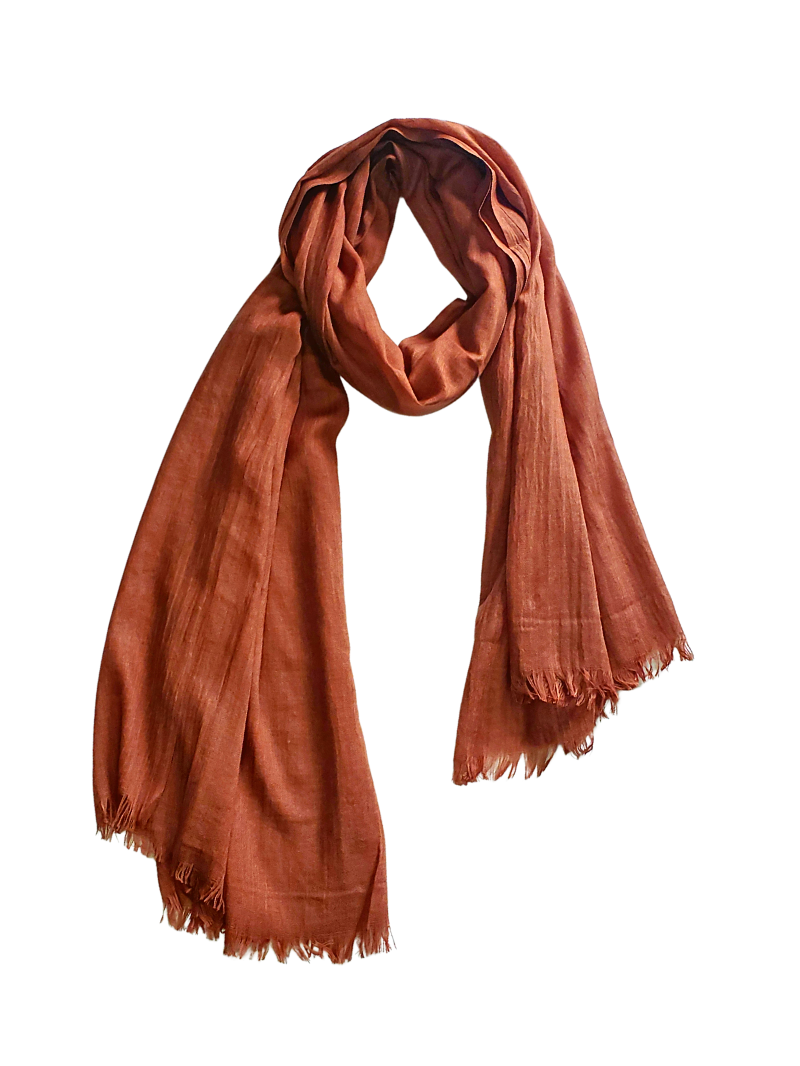 Hijab Standard | Citrouille