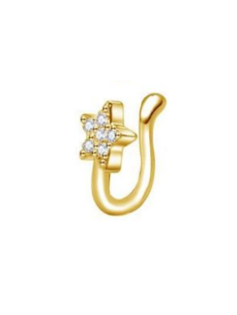 Faux Piercing | Étoile