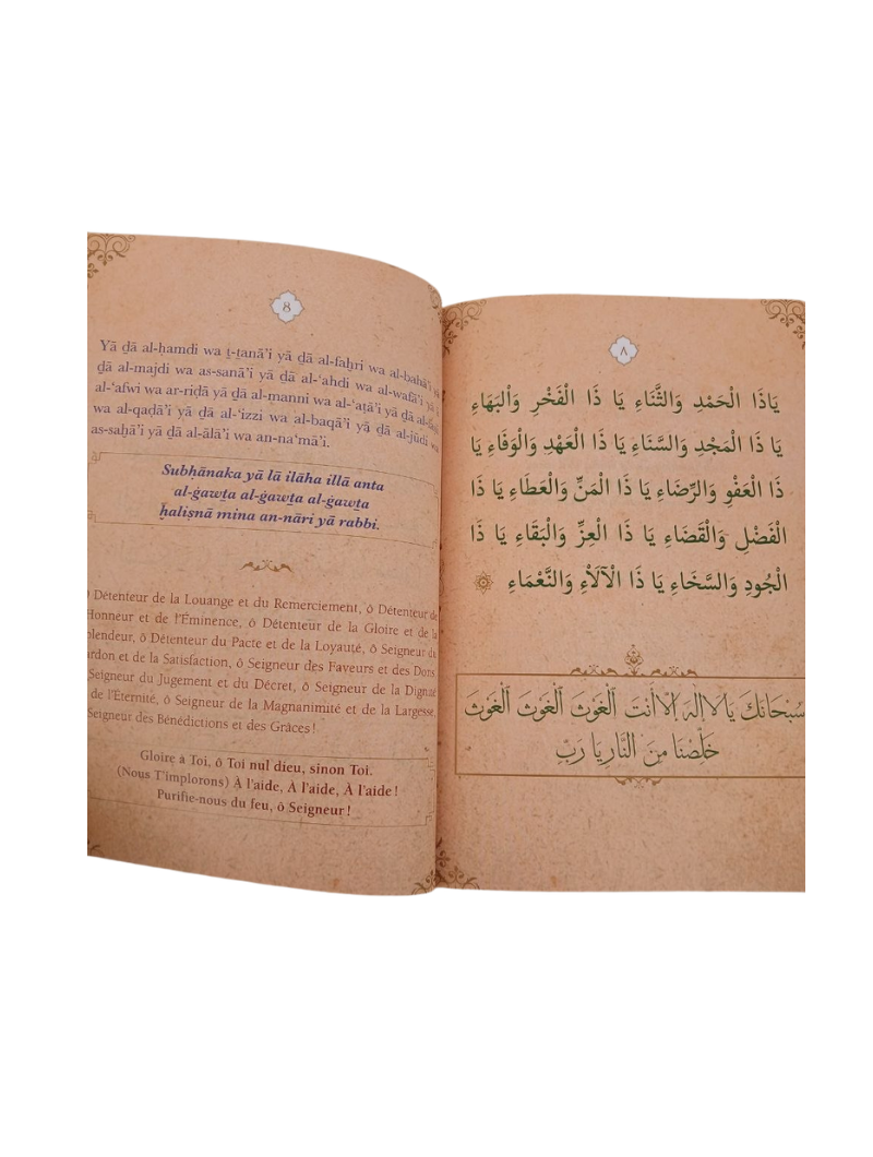 Products - books (49) L'invocation de la grande protection